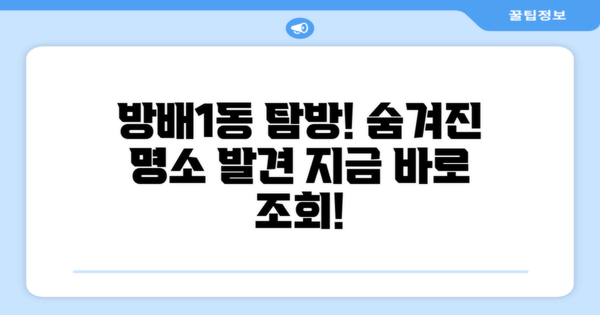 방배1동을 탐색하세요