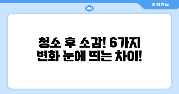 6가지 청소 후 소감