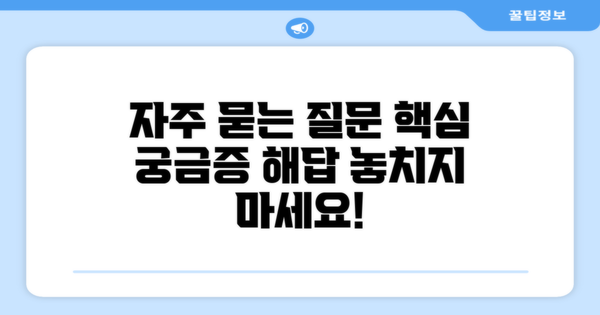 자주 묻는 질문