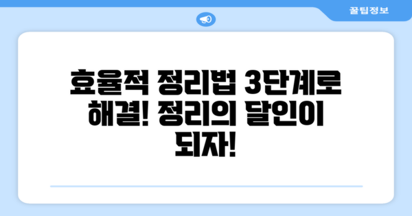 3단계 효율적 정리법