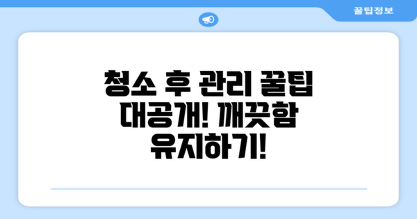 청소 후 관리 팁