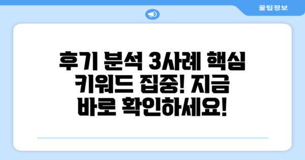 3가지 후기 분석 사례