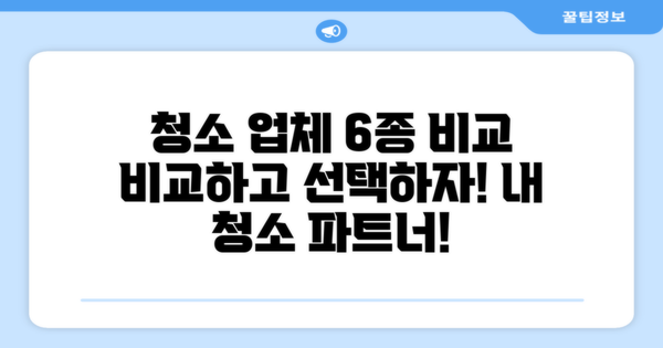 6가지 청소 업체 비교