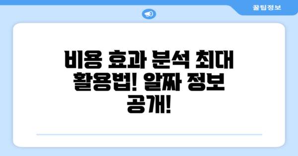 비용 대비 효과 분석