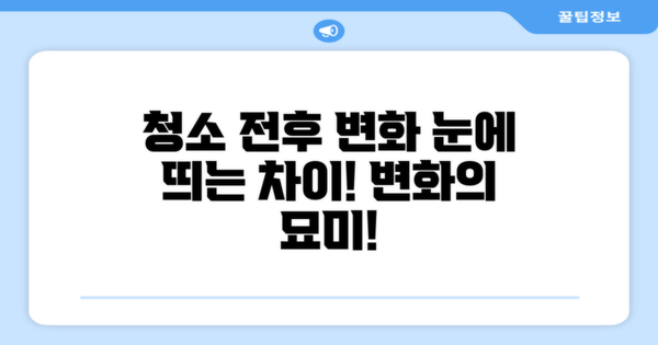 청소 전후 변화 관찰