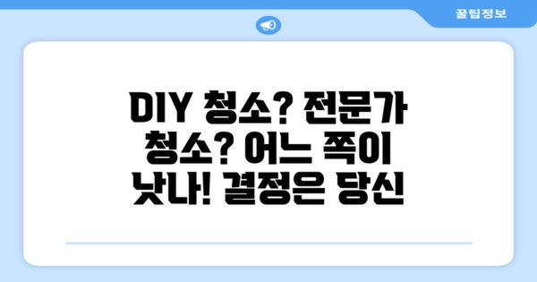 DIY vs 전문가 청소