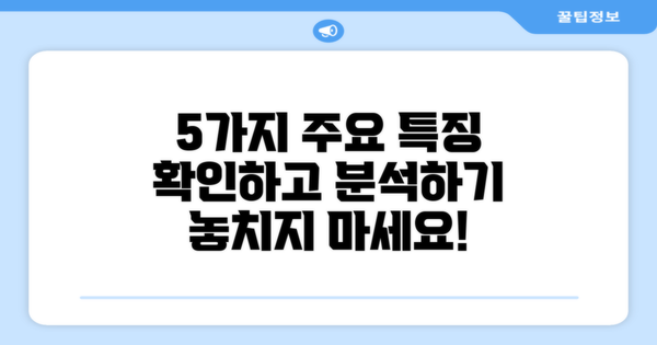 5가지 주요 특징 분석